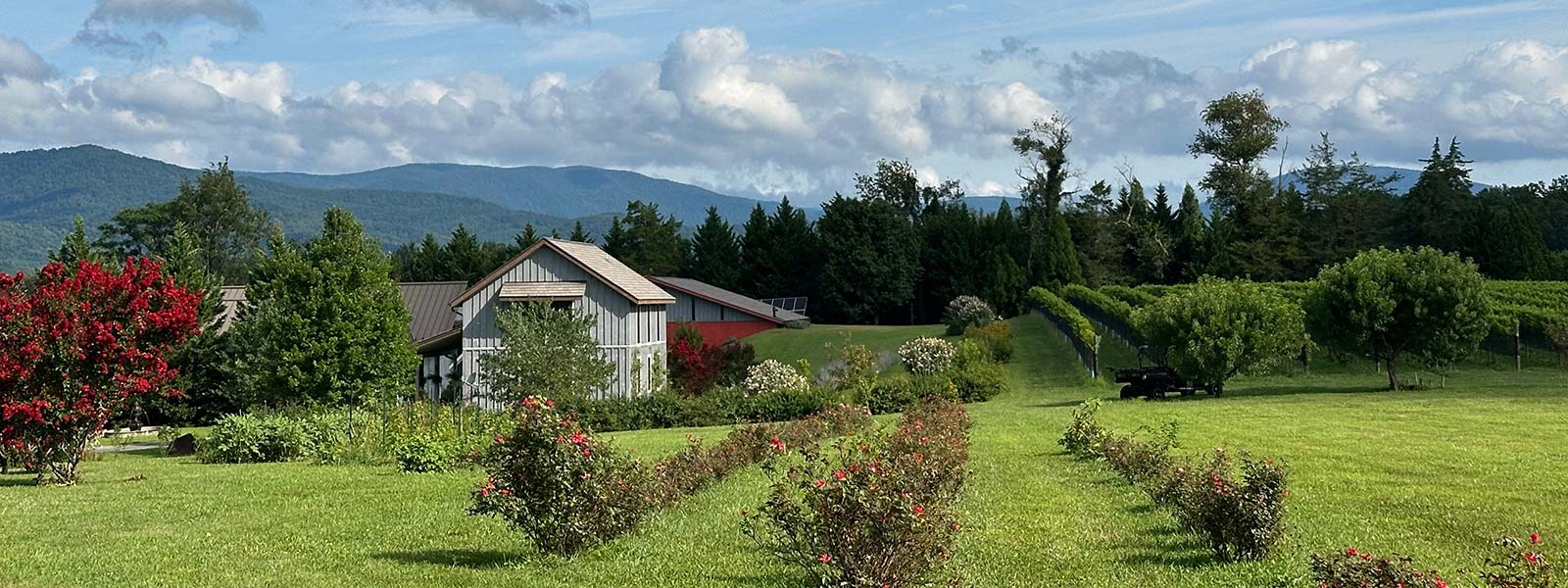 Ramiiisol Winery